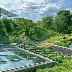 Ogród na dachu BUW zachwyca zielenią i wodą. Sprawdź cennik i odwiedź to zielone miejsce.