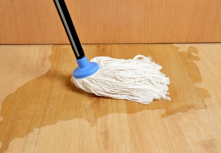 Mop na mokrej podłodze. Woda rozlana na panelach sugeruje problem, jak naprawić odstający panel podłogowy.
