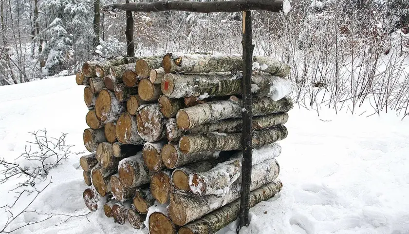 Stos drewna opałowego w śniegu, podtrzymywany przez drewniane podpory.