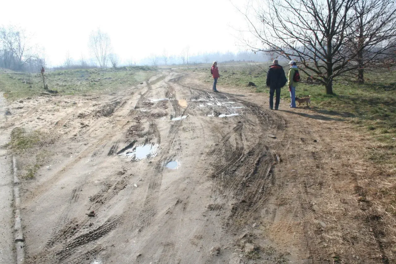 Ludzie spacerują po błotnistej drodze, gdzie minimalna odległość drogi wewnętrznej od granicy działki jest widoczna na tle mglistego krajobrazu.
