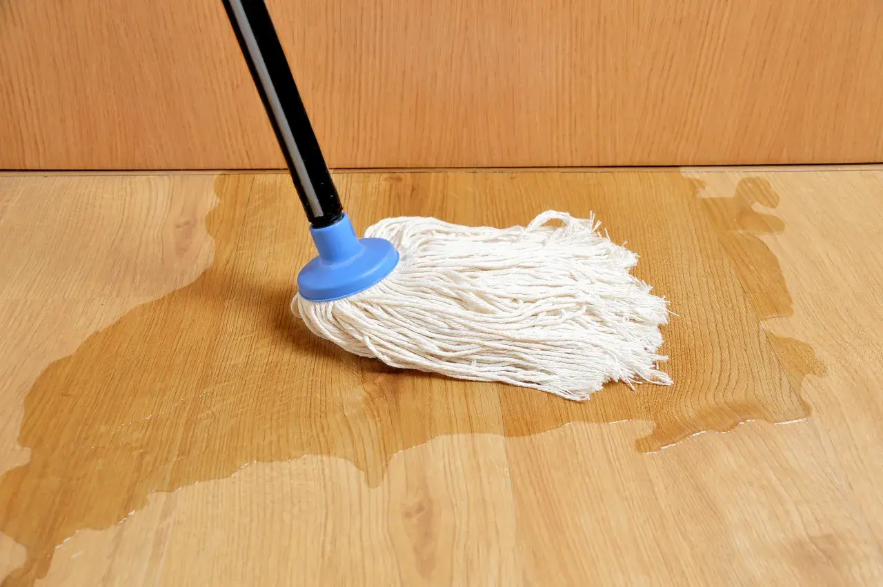 Mop na mokrej podłodze. Woda rozlana na panelach sugeruje problem, jak naprawić odstający panel podłogowy.